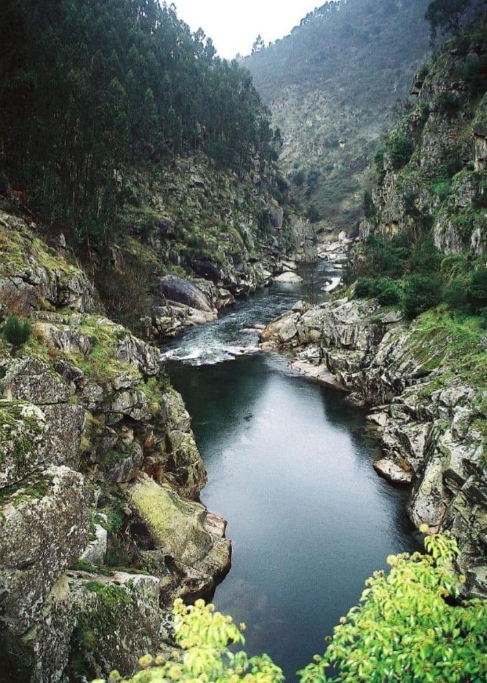 Crasto Payva Douro Nature Castelo de Paiva Exteriör bild